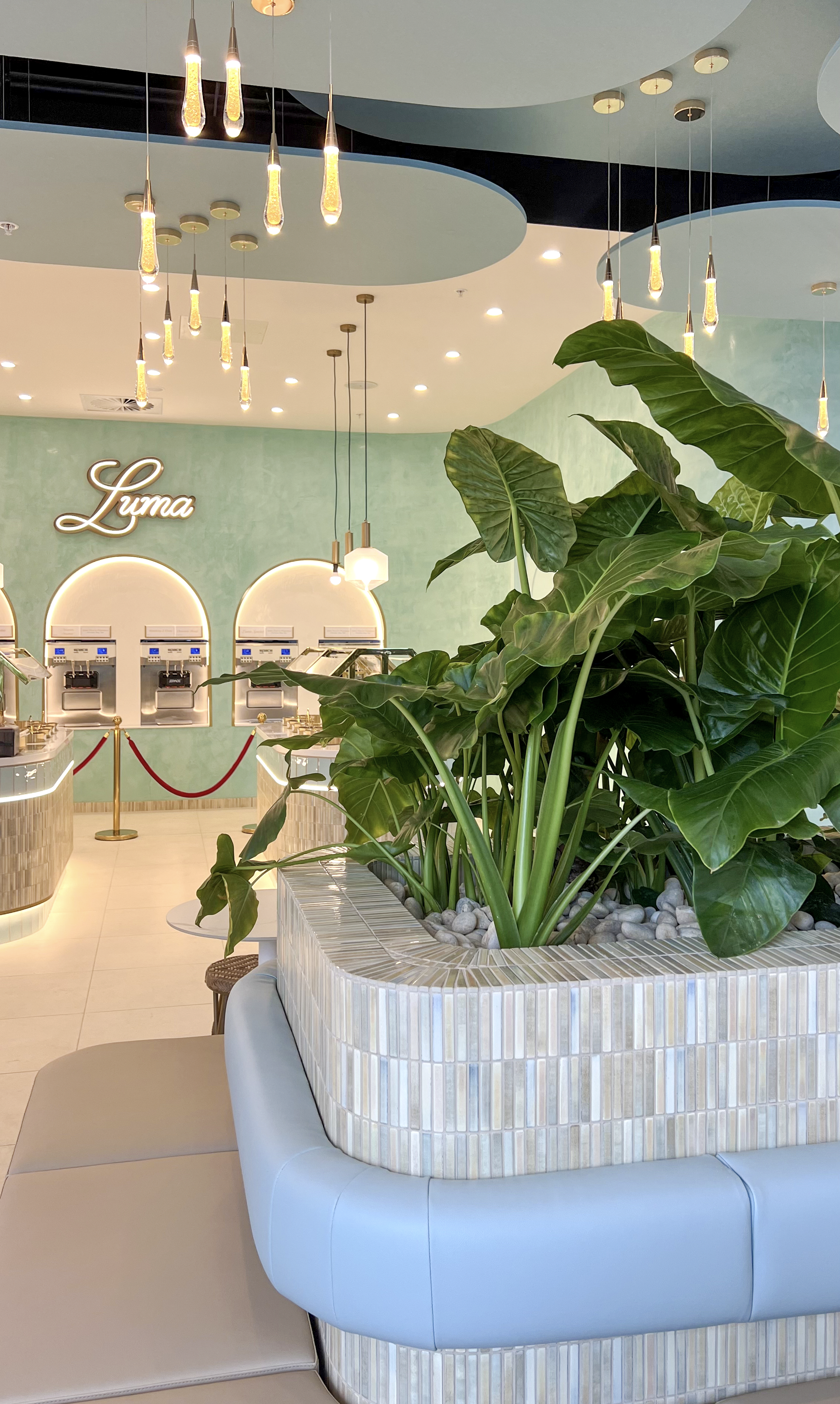 Green plants above curved mint-coloured seating inside Luma Newstead