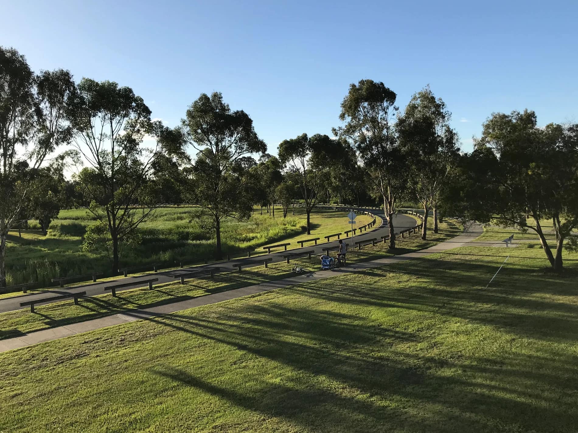 Walking paths and native trees at Logan River Parklands in Beenleigh