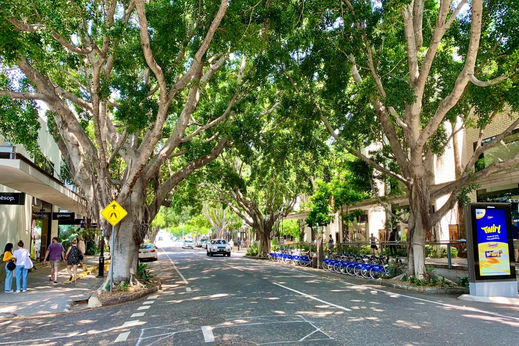 Tree-lined James Street in Fortitude Valley during the day